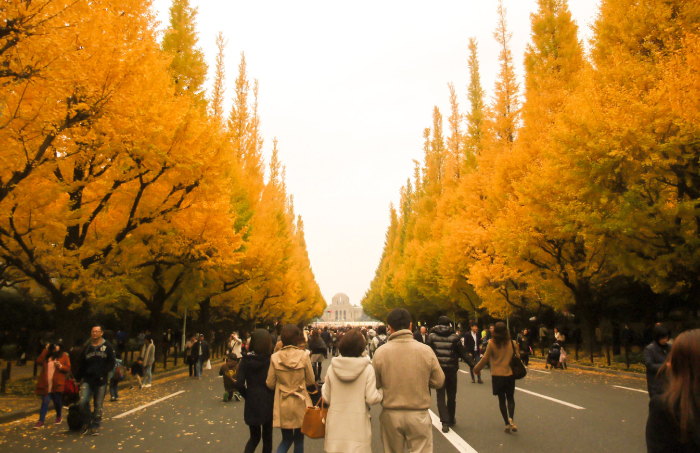 Meiji Jingu Gaien