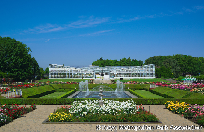 Jindai Botanical Gardens