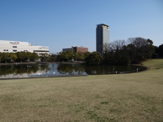 会場　多摩中央公園（大芝生広場）