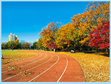 会場 東大和南公園（運動広場）