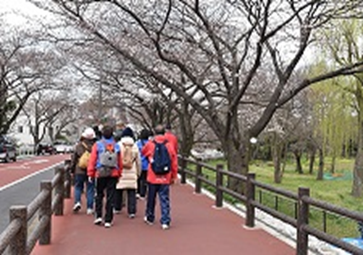 画像：水元公園にて