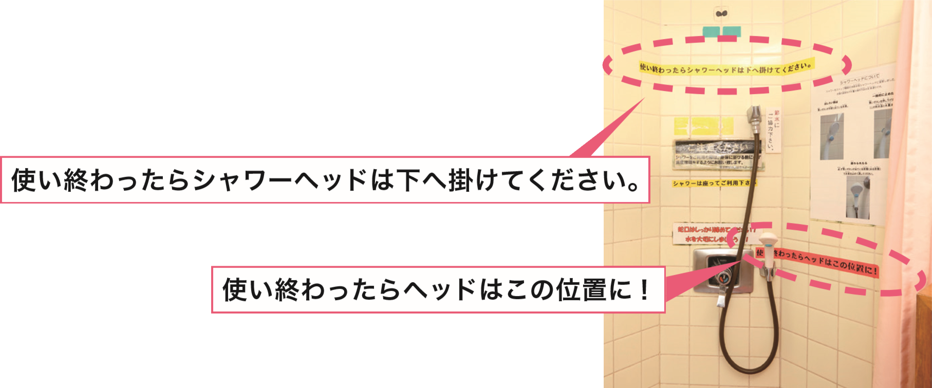 イメージ図：シャワーヘッドは低い位置に