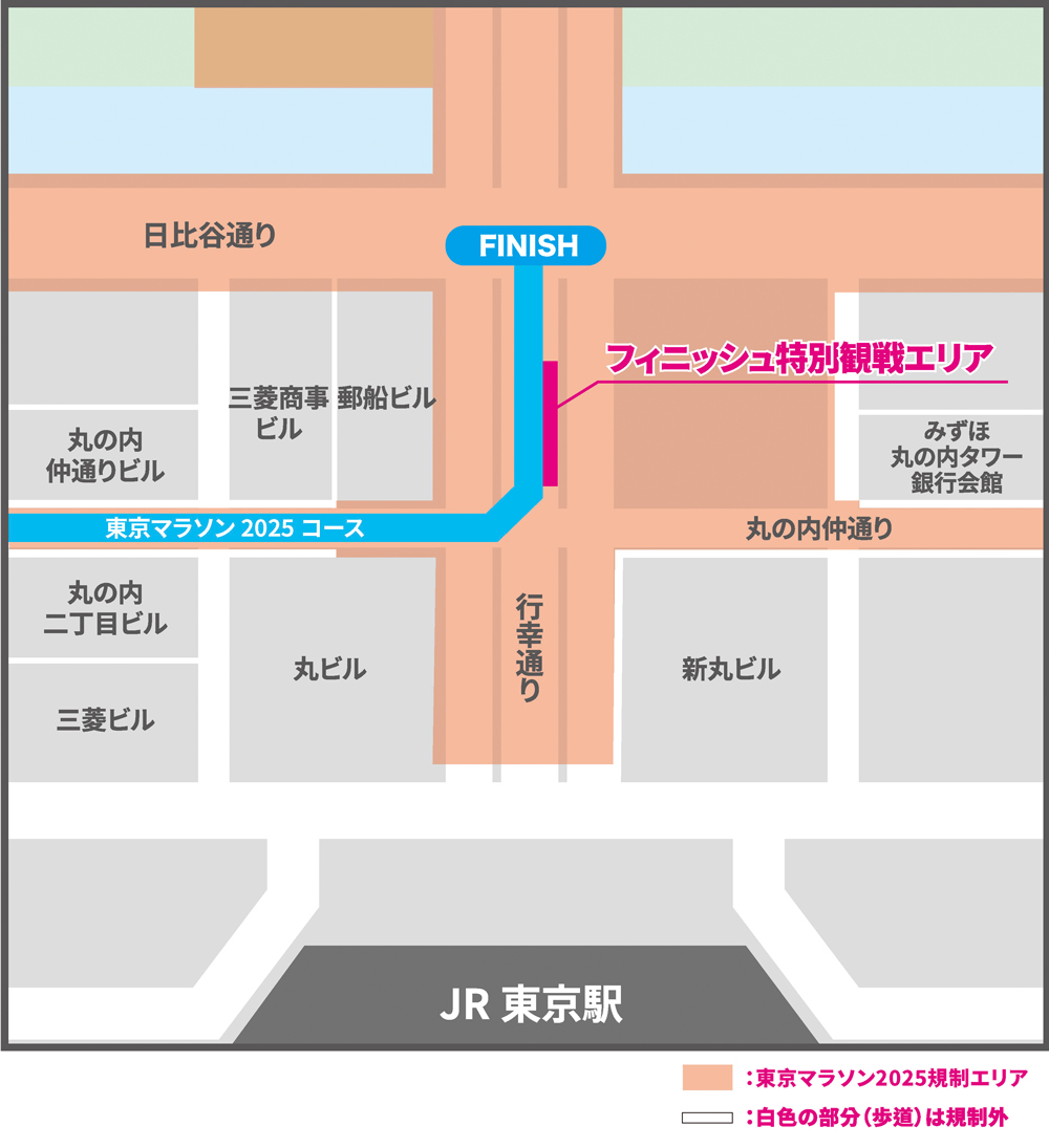 東京マラソンランナー応援イベント「TOKYO CHEER 2025」フィニッシュ特別観戦エリアです。