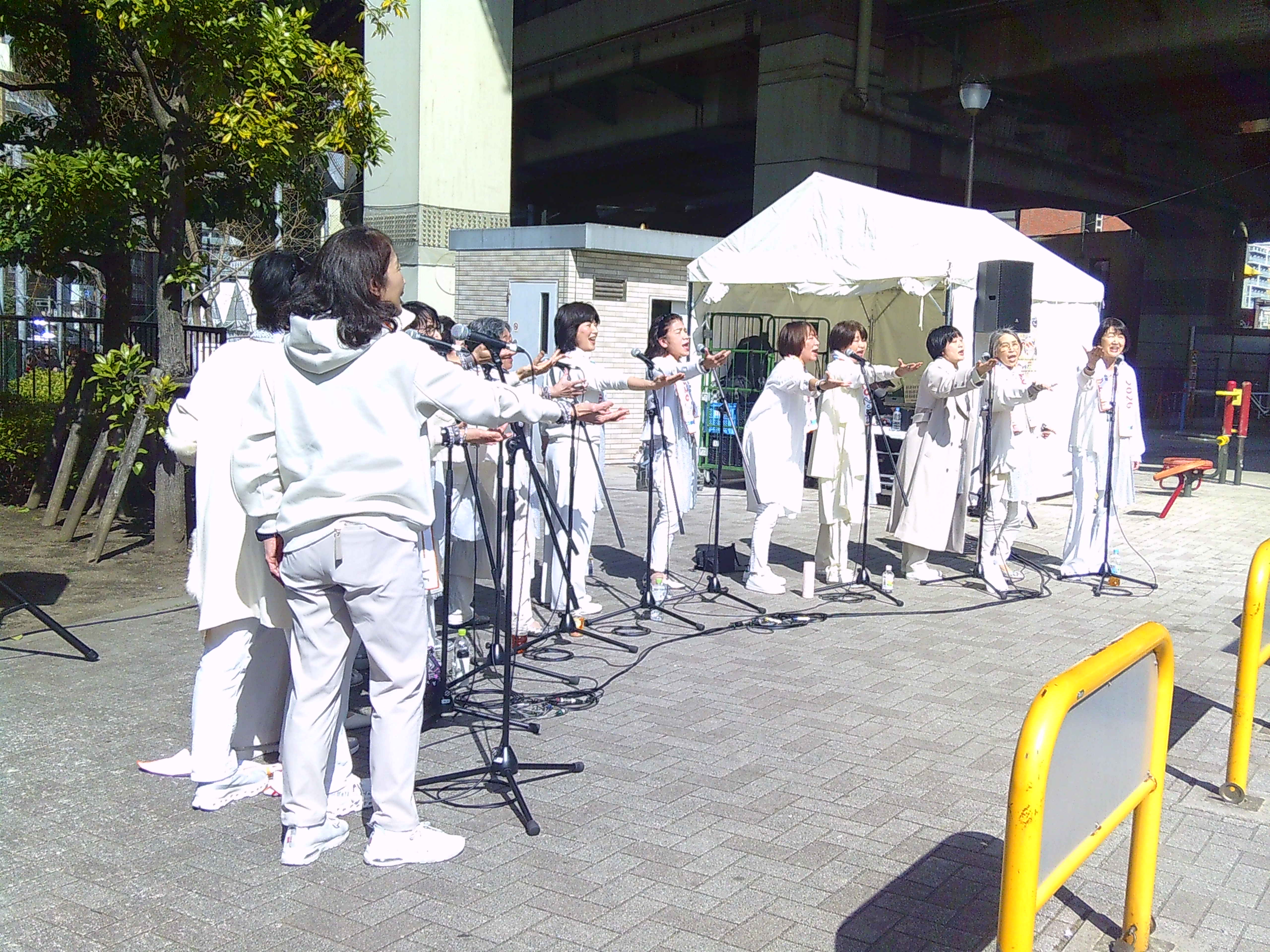 江東区立油堀川公園の様子です。