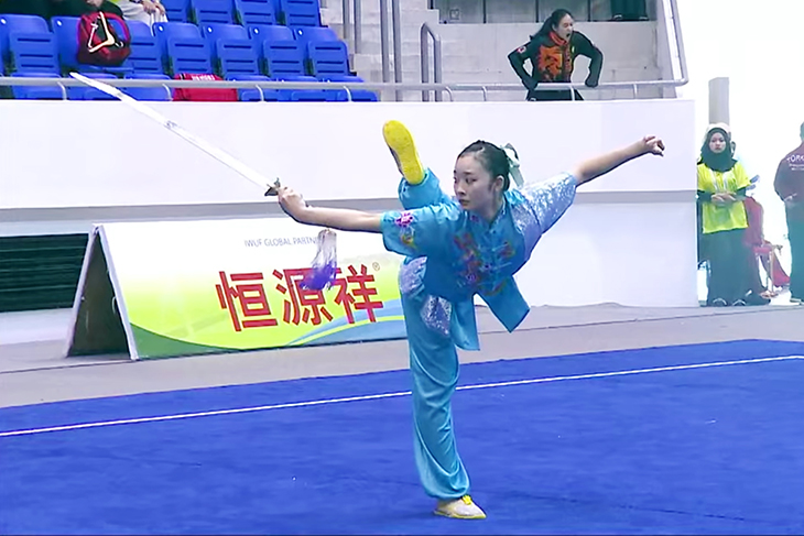 世界青少年武術錦標賽