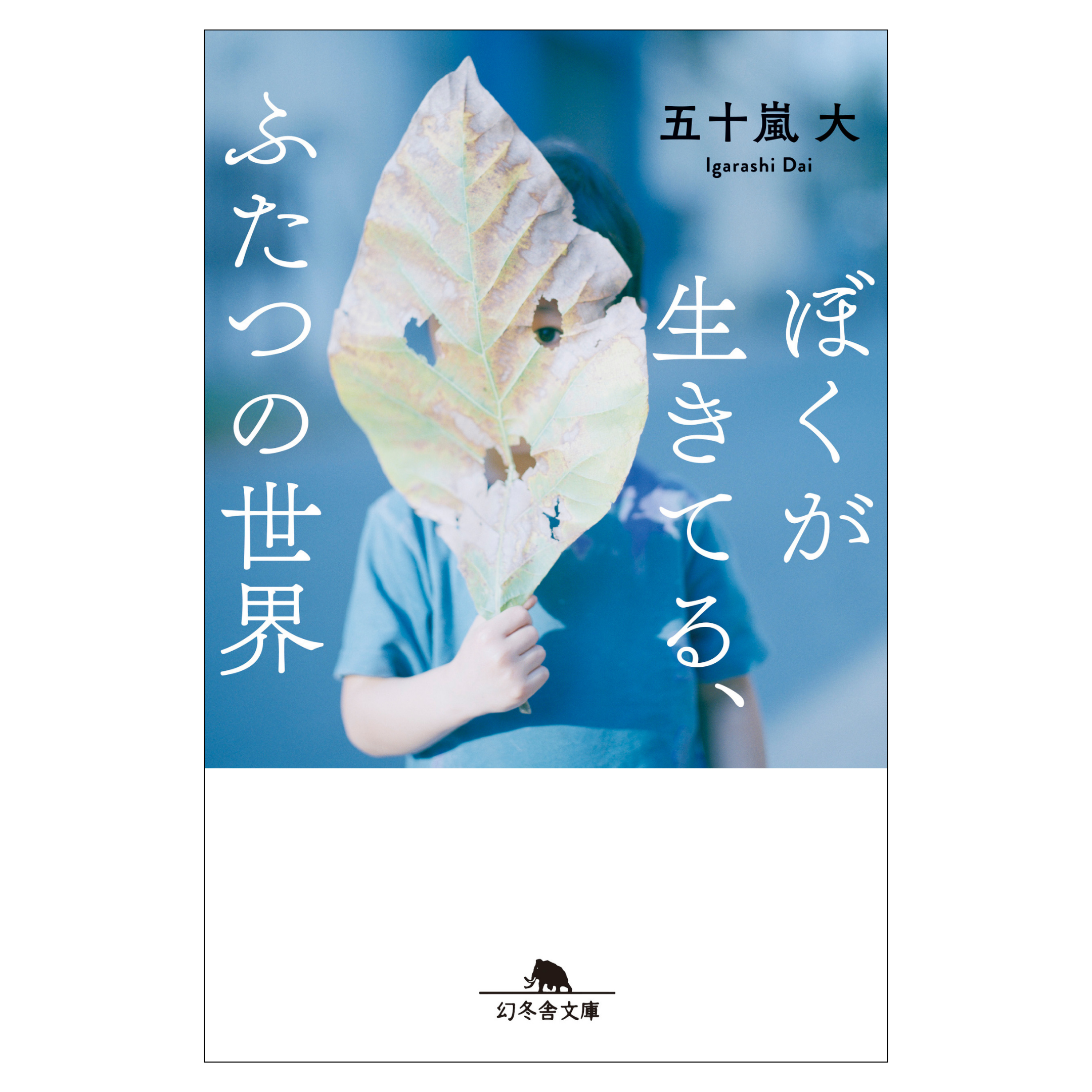 本の表紙の画像